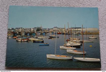 G599, Cpm, Lesconil, Finistère 29