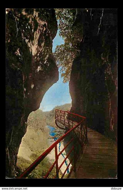 74 - Lovagny - Gorges du Fier - Flamme Postale - CPM - Voir Scans Recto-Verso