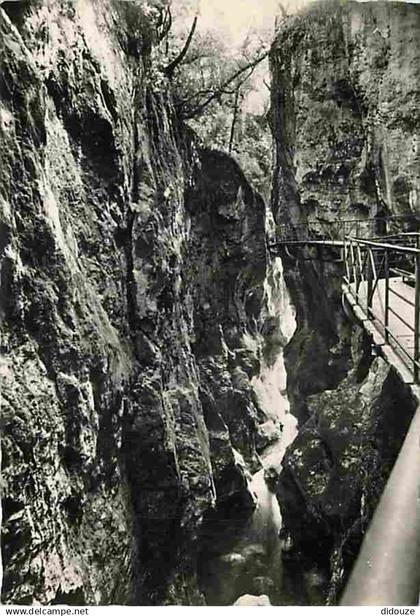 74 - Lovagny - Gorges du Fier - L'intérieur des Gorges - Carte Neuve - CPM - Voir Scans Recto-Verso