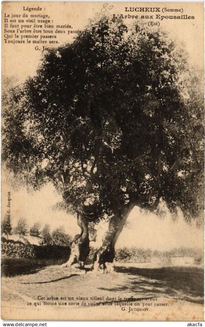 CPA LUCHEUX L'Arbre aux Epousailles (1291963)