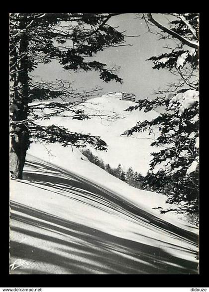 31 - Luchon - Superbagnères - Le Grand Hôtel de Superbagnères - Mention Photographie véritable - Carte dentelée - CPSM g