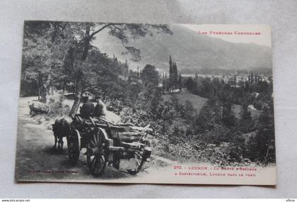 Luchon, route d'Espagne à Castelvieilh, Luchon dans le fond, Haute Garonne 31