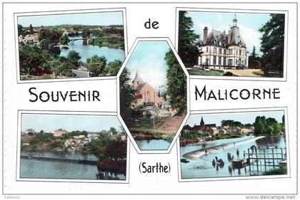 CPSM FRANCE 72 SARTHE MALICORNE-SUR-SARTHE - Multivues 1964