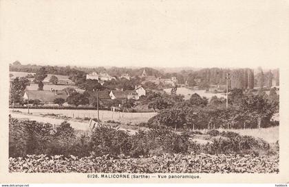 MALICORNE SUR SARTHE : VUE PANORAMIQUE