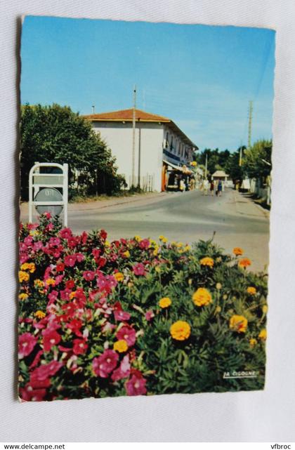 Cpm 1984, Marseillan plage, le bassin fleuri et l'allée commerciale, Hérault 34