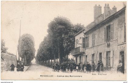 MOISSELLES - Avenue des Marronniers