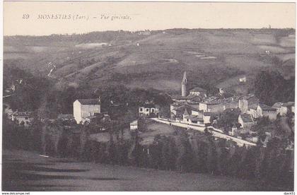 81 - MONESTIES (Tarn) - Vue générale