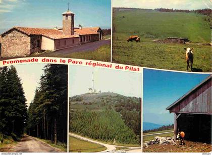 42 - Le Mont Pilat - Parc Régional du Pilat - Multivues - CPM - Voir Scans Recto-Verso