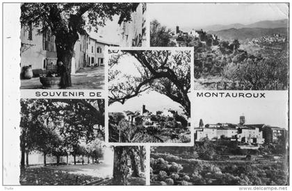 MONTAUROUX MULTIVUES