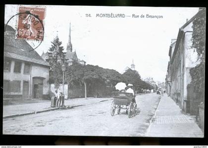 MONTBELIARD