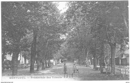 Carte Postale Ancienne de MONTLUEL-promenade des tilleuls