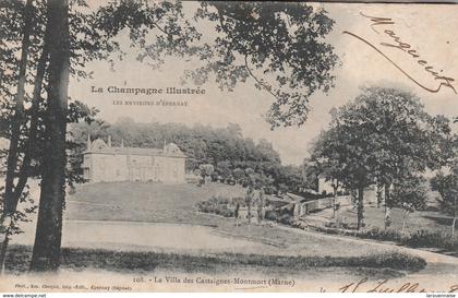 51 - MONTMORT LUCY  - La Villa des Castaignes