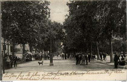 Montpellier, Esplanade