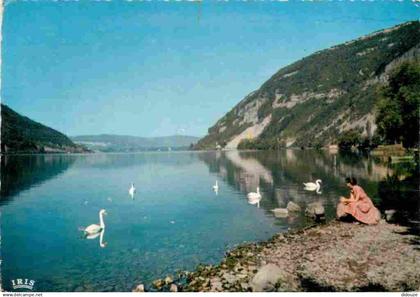 01 - Nantua - Le Lac de Nantua - Cygnes - CPM - Voir Scans Recto-Verso