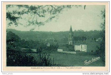 Nesles la Vallée - Vue panoramique