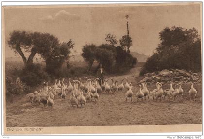 Carte Postale Ancienne de NOMENY