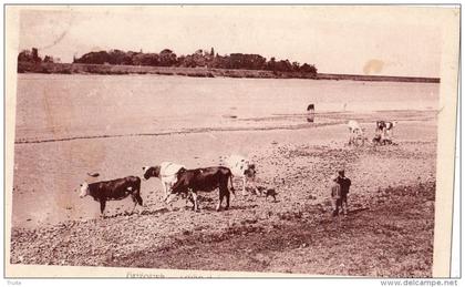 OUZOUER-SUR-LOIRE BORDS DE LA LOIRE