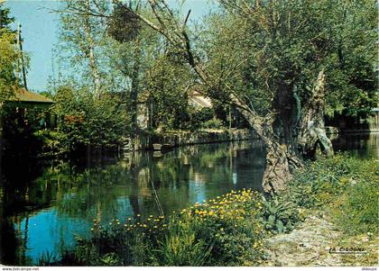 27 - Pacy sur Eure - Les Bords de l'Eure - CPM - Voir Scans Recto-Verso