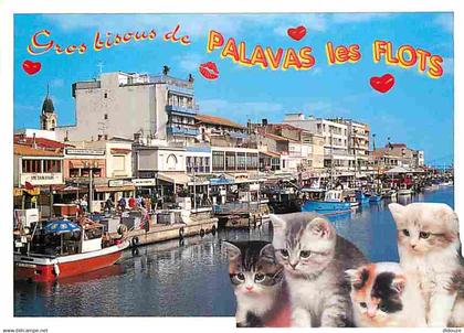 34 - Palavas les Flots - Le Canal - Chatons - Flamme Postale de Palavas les Flots - CPM - Voir Scans Recto-Verso