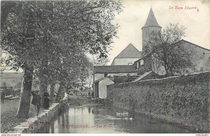 CPA FRANCE 81 Pampelonne, Les fossés".