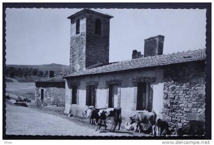 42 Mont-Pilat Pélussin ferme hotel vache    D42D  K42168K  C42168C RH040898