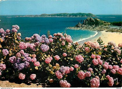 22 - Perros-Guirec - Plage de Trestrignel - Fleurs - Flamme Postale de Perros-Guirec - CPM - Voir Scans Recto-Verso