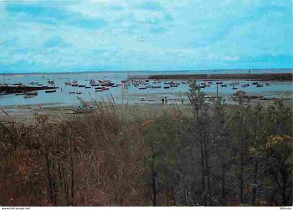 29 - Plouescat - Le Port de Pors Guern - Flamme Postale - Voir Scans Recto Verso