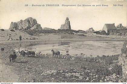 CPA Environs de Tréguier - Plougrescant Les Moutons au petit Etang