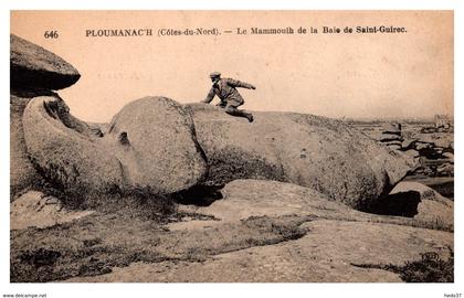 Ploumanac'h - Le Mammouth