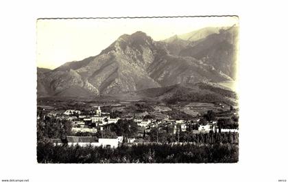 Carte POSTALE  Ancienne  de PRADES