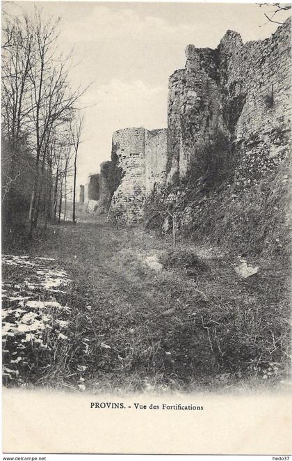 Provins - Vue des Fortifications