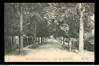 91 - Ris Orangis - Avenue des marronniers - Animée - CPA - Voir Scans Recto-Verso