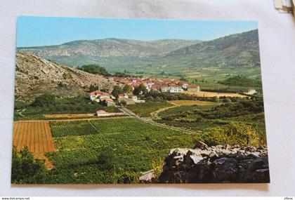 Cpm 1982, Rivesaltes, vue générale de Vingrau, Pyrénées orientales 66