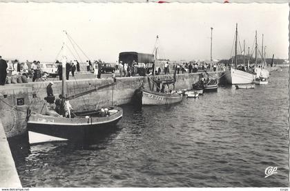 CPM Roscoff Départ pour l'Ile de Batz