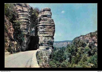 07 - Ruoms - Les Gorges de l'Ardèche - Le Défilé de Ruoms - CPM - Voir Scans Recto-Verso