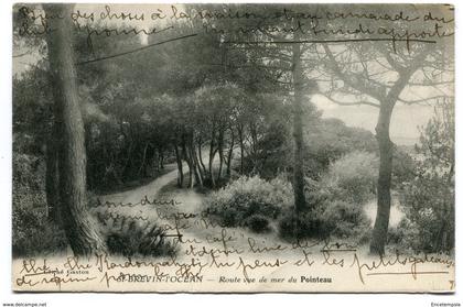 CPA - Carte Postale - France - Saint-Brevin-l'Océan - Route de la Mer du Pointeau ( CP4099 )