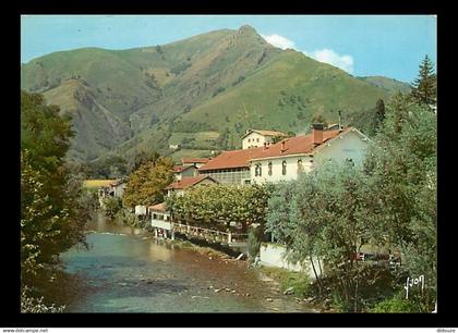 64 - Saint Etienne de Baigorry - La Nive et le Trinquet - Carte Neuve - CPM - Voir Scans Recto-Verso