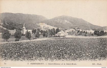 SAINT ETIENNE de REMIREMONT