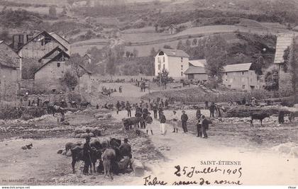 SAINT ETIENNE DE TINEE(MARCHE)