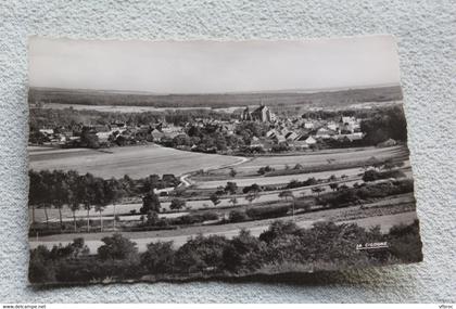 Cpsm, saint Florentin, vue panoramique, Yonne 89