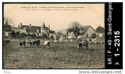 49 Epiré Saint-Georges-sur-Loire - EPIRE (M-et-L) - Château de Chamboureau - Entré Principale /  D49D  K49283K  C49283C