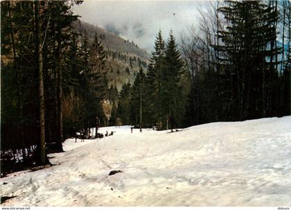 38 - Saint Hilaire du Touvet - La Piste St-Michel - Hiver - Neige - CPM - Carte Neuve - Voir Scans Recto-Verso