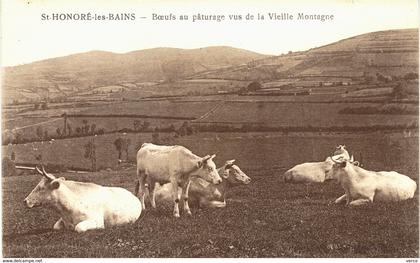 Carte Postale ancienne de SAINT HONORE les BAINS