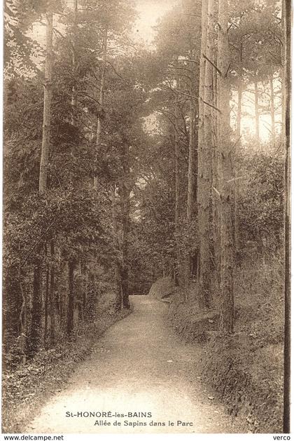 Carte Postale ancienne de SAINT HONORE les BAINS