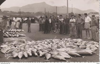 CPA Saint Jean de Luz Port vente de poissons