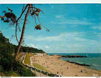 17 - Saint Palais sur Mer - La plage du Platin - CPM - Voir Scans Recto-Verso