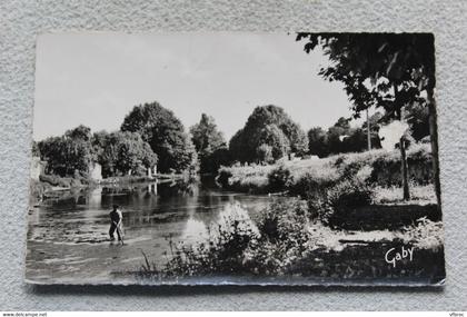 Cpsm, Saint Palais, le camping sur la Bidouze, Pyrénées atlantiques 64