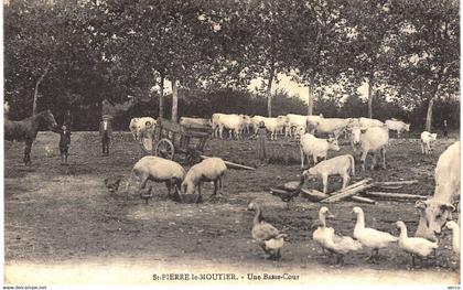 Carte POSTALE  Ancienne de  SAINT PIERRE le MOUTIER - Une Basse cour