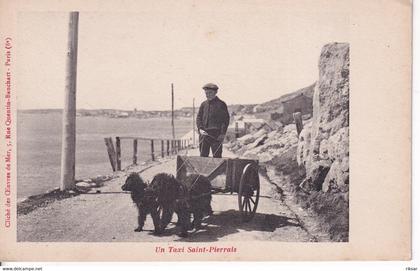 SAINT PIERRE ET MIQUELON(VOITURE A CHIEN)