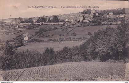 SAINT SAUVEUR EN PUISAYE